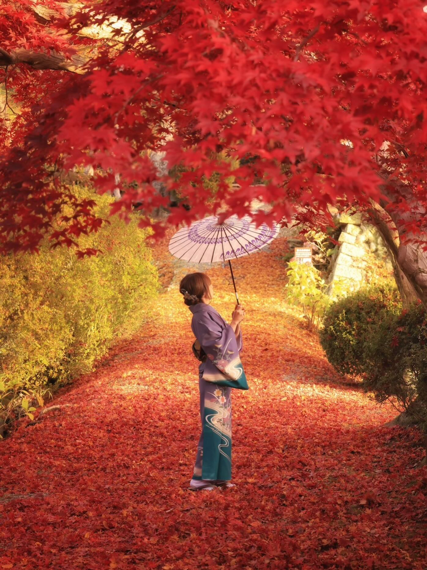 紅葉