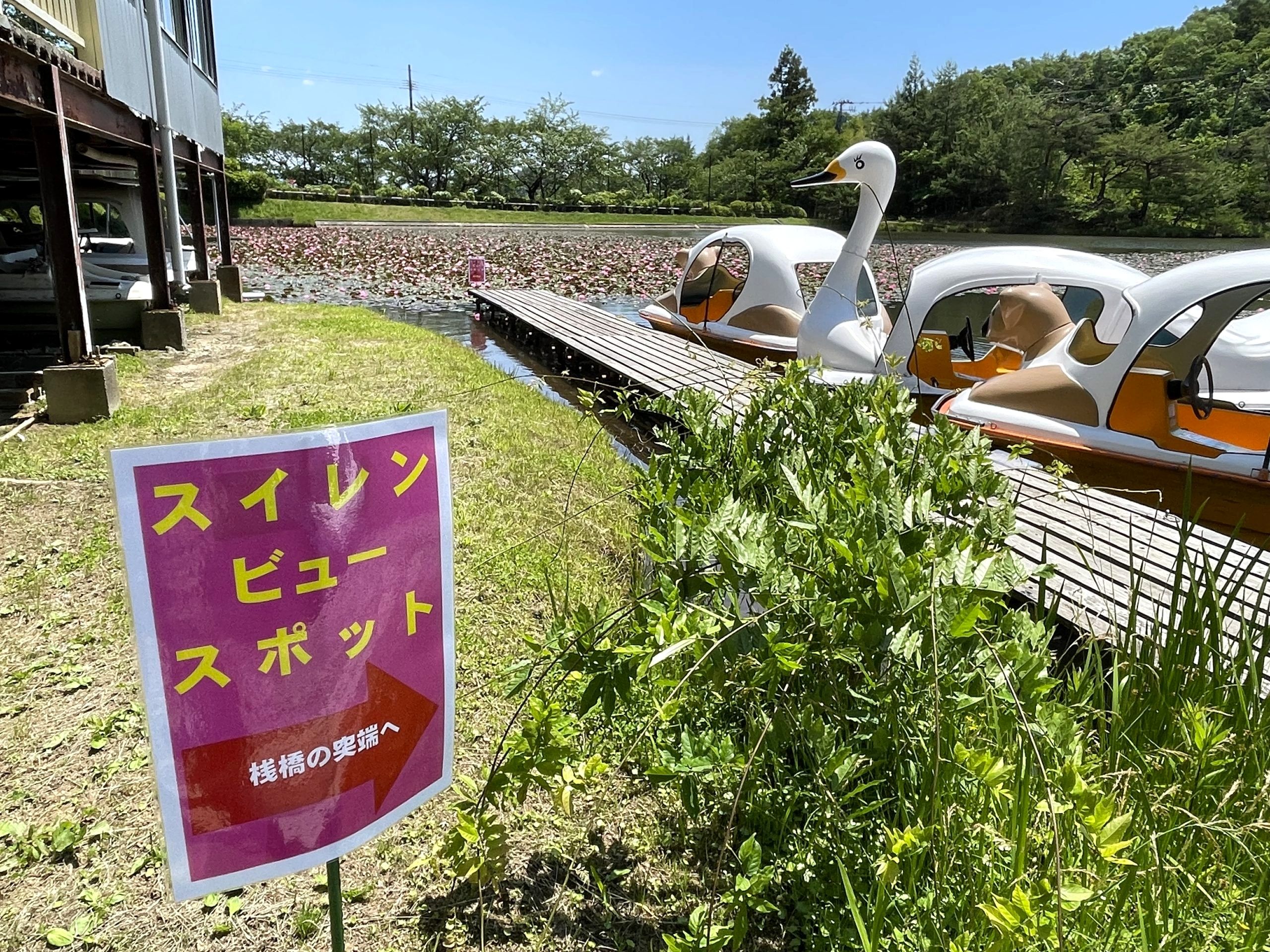 擂鉢池のボート